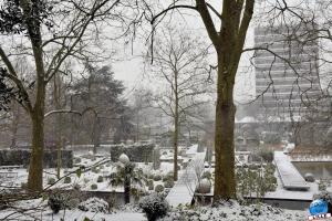 Neige Lille - Janvier 2021 - 08
