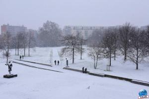 Neige Lille - Janvier 2021 - 09
