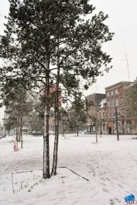 Neige Lille - Janvier 2021 - 11