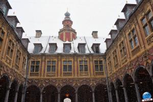 Neige Lille - Janvier 2021 - 15