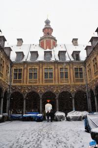 Neige Lille - Janvier 2021 - 16