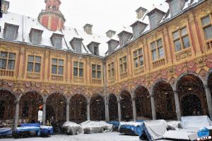 Neige Lille - Janvier 2021 - 17