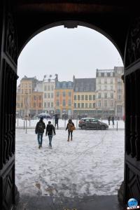 Neige Lille - Janvier 2021 - 18
