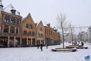 Neige Lille - Janvier 2021 - 24