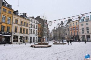 Neige Lille - Janvier 2021 - 26