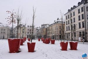 Neige Lille - Janvier 2021 - 27