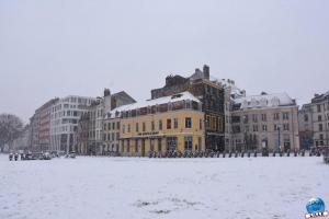 Neige Lille - Janvier 2021 - 28