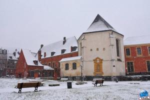 Neige Lille - Janvier 2021 - 29