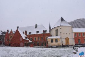 Neige Lille - Janvier 2021 - 30