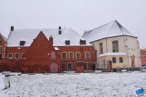 Neige Lille - Janvier 2021 - 31