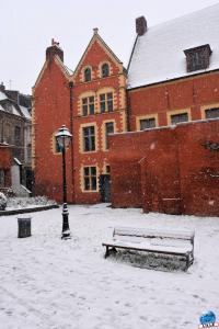 Neige Lille - Janvier 2021 - 32