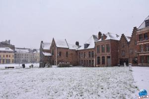 Neige Lille - Janvier 2021 - 33