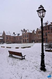 Neige Lille - Janvier 2021 - 34