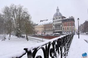 Neige Lille - Janvier 2021 - 39
