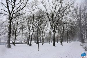 Neige Lille - Janvier 2021 - 41