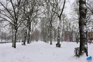 Neige Lille - Janvier 2021 - 42
