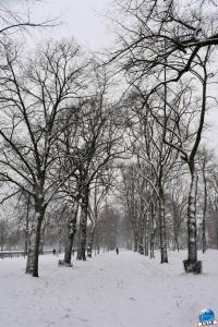 Neige Lille - Janvier 2021 - 43