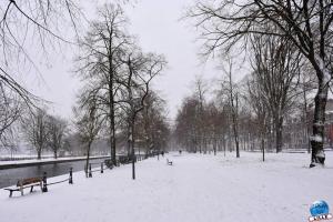 Neige Lille - Janvier 2021 - 44