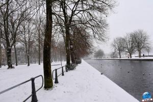 Neige Lille - Janvier 2021 - 46