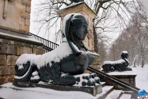 Neige Lille - Janvier 2021 - 47