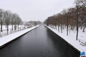 Neige Lille - Janvier 2021 - 48