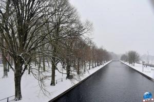 Neige Lille - Janvier 2021 - 49