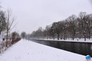 Neige Lille - Janvier 2021 - 50