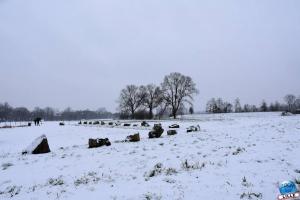 Neige Lille - Janvier 2021 - 52