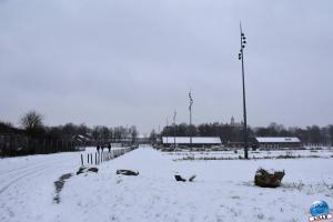 Neige Lille - Janvier 2021 - 53