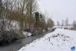 Neige Lille - Janvier 2021 - 56