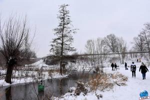 Neige Lille - Janvier 2021 - 58