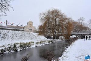Neige Lille - Janvier 2021 - 60