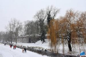 Neige Lille - Janvier 2021 - 61