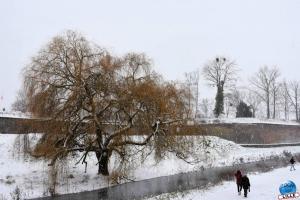 Neige Lille - Janvier 2021 - 62