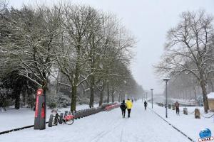 Neige Lille - Janvier 2021 - 66