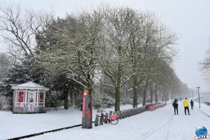 Neige Lille - Janvier 2021 - 67