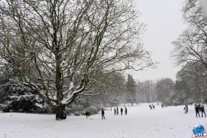 Neige Lille - Janvier 2021 - 68