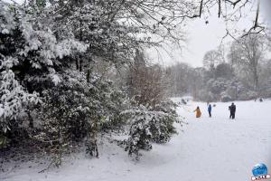 Neige Lille - Janvier 2021 - 69