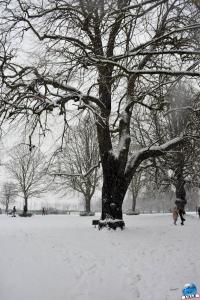 Neige Lille - Janvier 2021 - 70