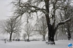 Neige Lille - Janvier 2021 - 71