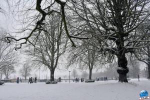 Neige Lille - Janvier 2021 - 72