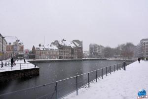 Neige Lille - Janvier 2021 - 74