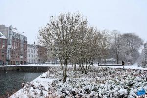 Neige Lille - Janvier 2021 - 75