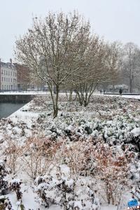 Neige Lille - Janvier 2021 - 76