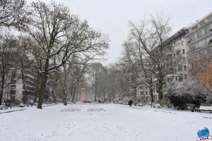 Neige Lille - Janvier 2021 - 79