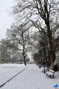 Neige Lille - Janvier 2021 - 80