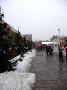 lille_neige_11_20101226_1861516240