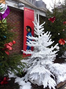 lille_neige_13_20101226_1644044004