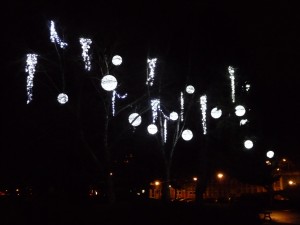 fete_5_20111231_1761022155