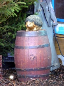 fete_6_20111231_1064873046